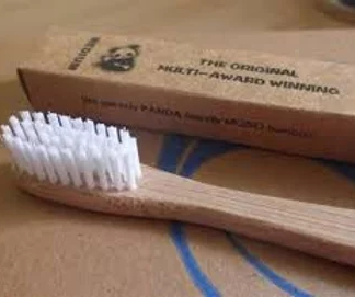 Environmental Toothbrush - Child